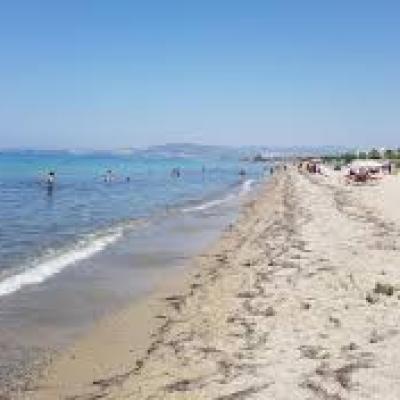 Davutlar Thermal Springs: A Relaxing Natural Wellness Experience Near Kuşadası, Turkey